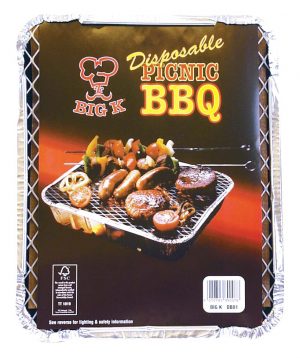 Big K - Disposable Picnic BBQ (10)