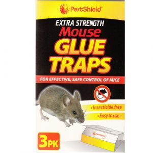 Mouse Glue Traps (12 x 3's)
