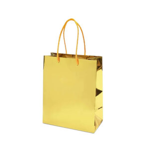 Gift Bags Small 115 x 160 x 60mm (C303) - 12 units