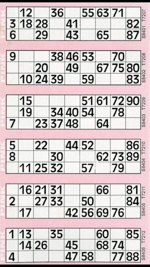 Bingo Tickets - 12 units